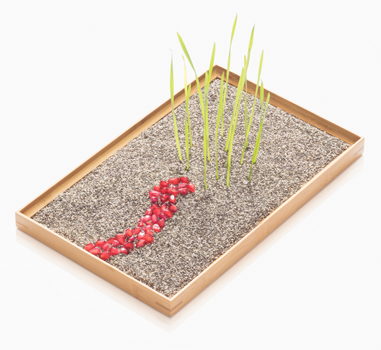 Alexander Winkelmann