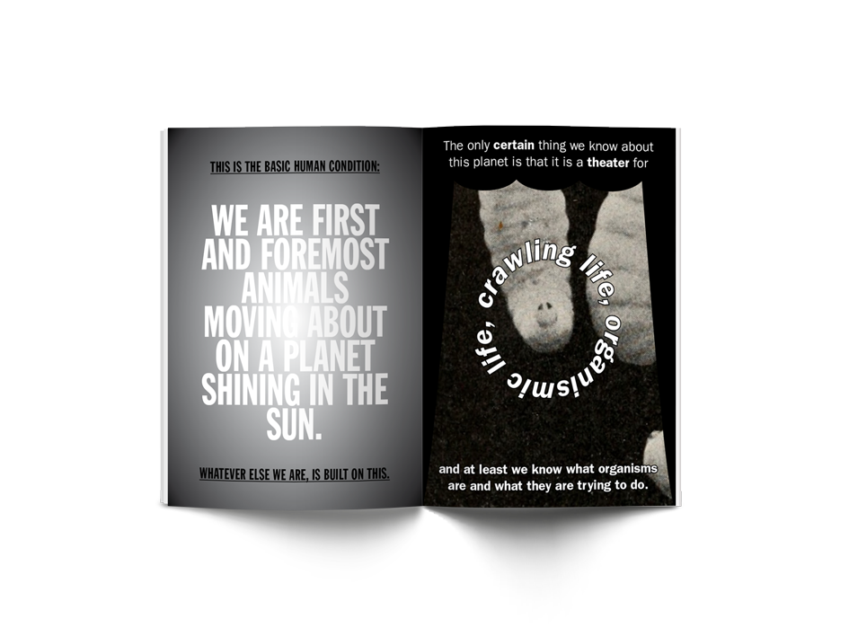 Alexander Winkelmann