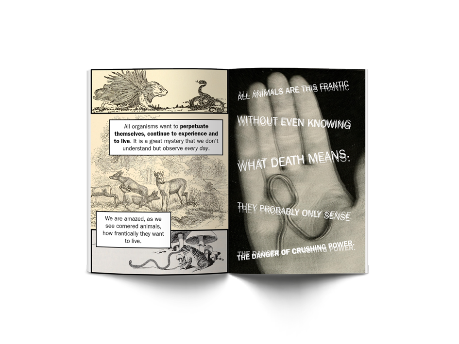 Alexander Winkelmann