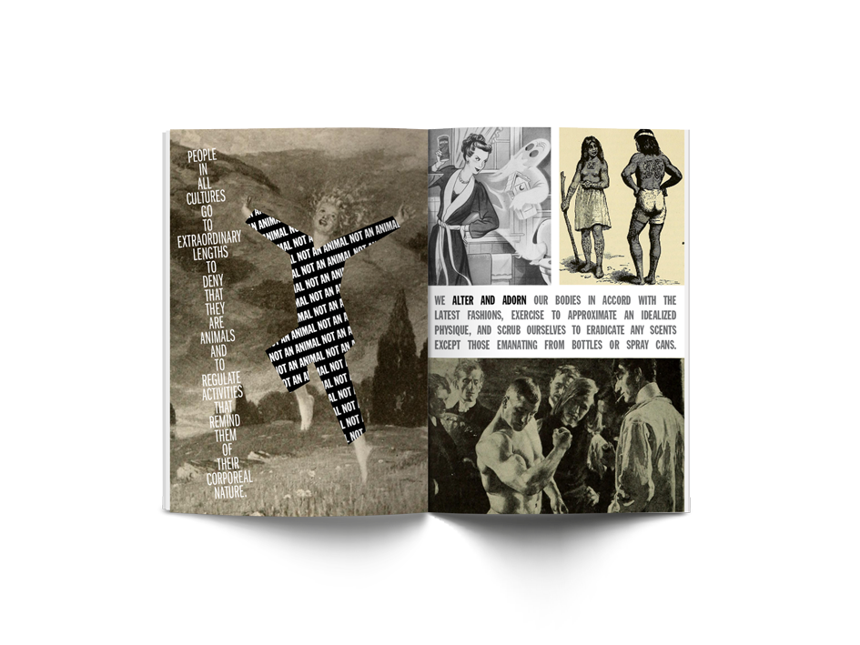 Alexander Winkelmann