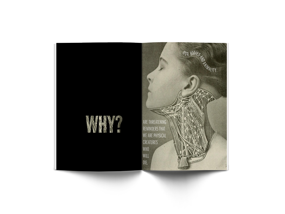 Alexander Winkelmann